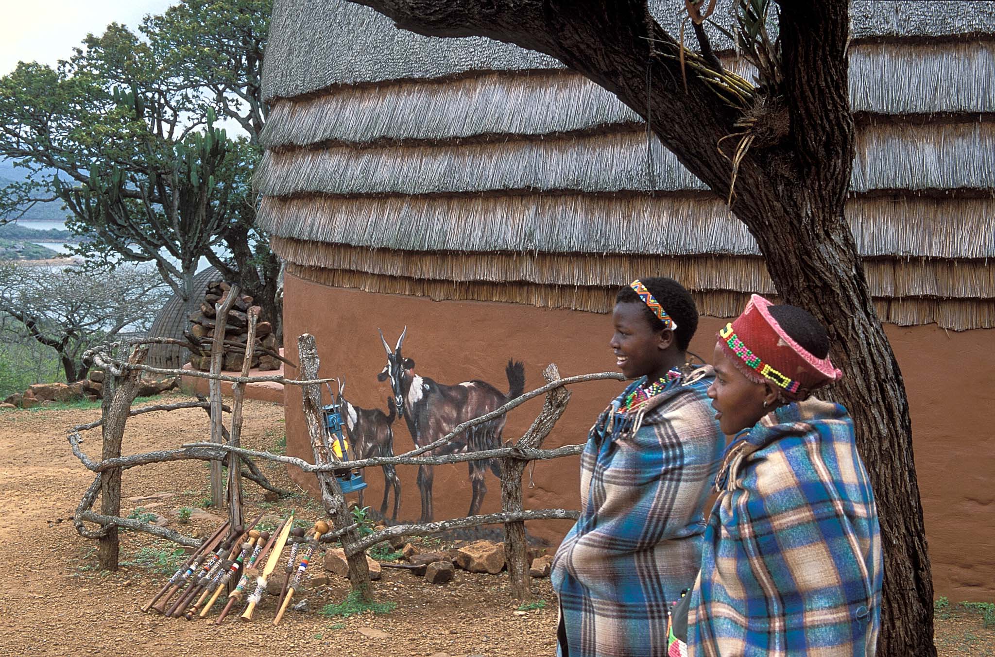 Shakaland